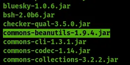 commons-beanutils-1.9.4.jar in the application lib directory