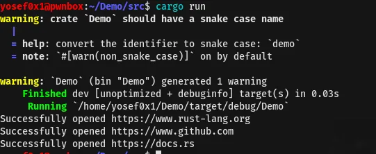 cargo run successfully opening URLs in the browser