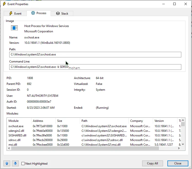 Procmon module section showing sdrsvc.dll and sdengin2.dll
